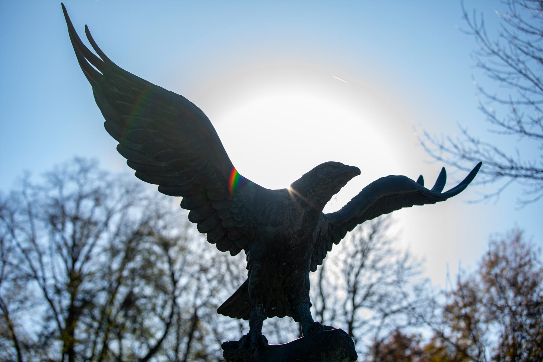 Eagle statue with sun behind