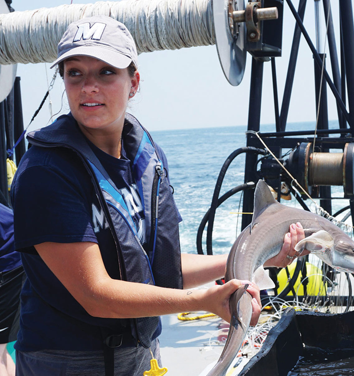 A photograph of a girl participating in a shark tagging activity nearby two other individuals