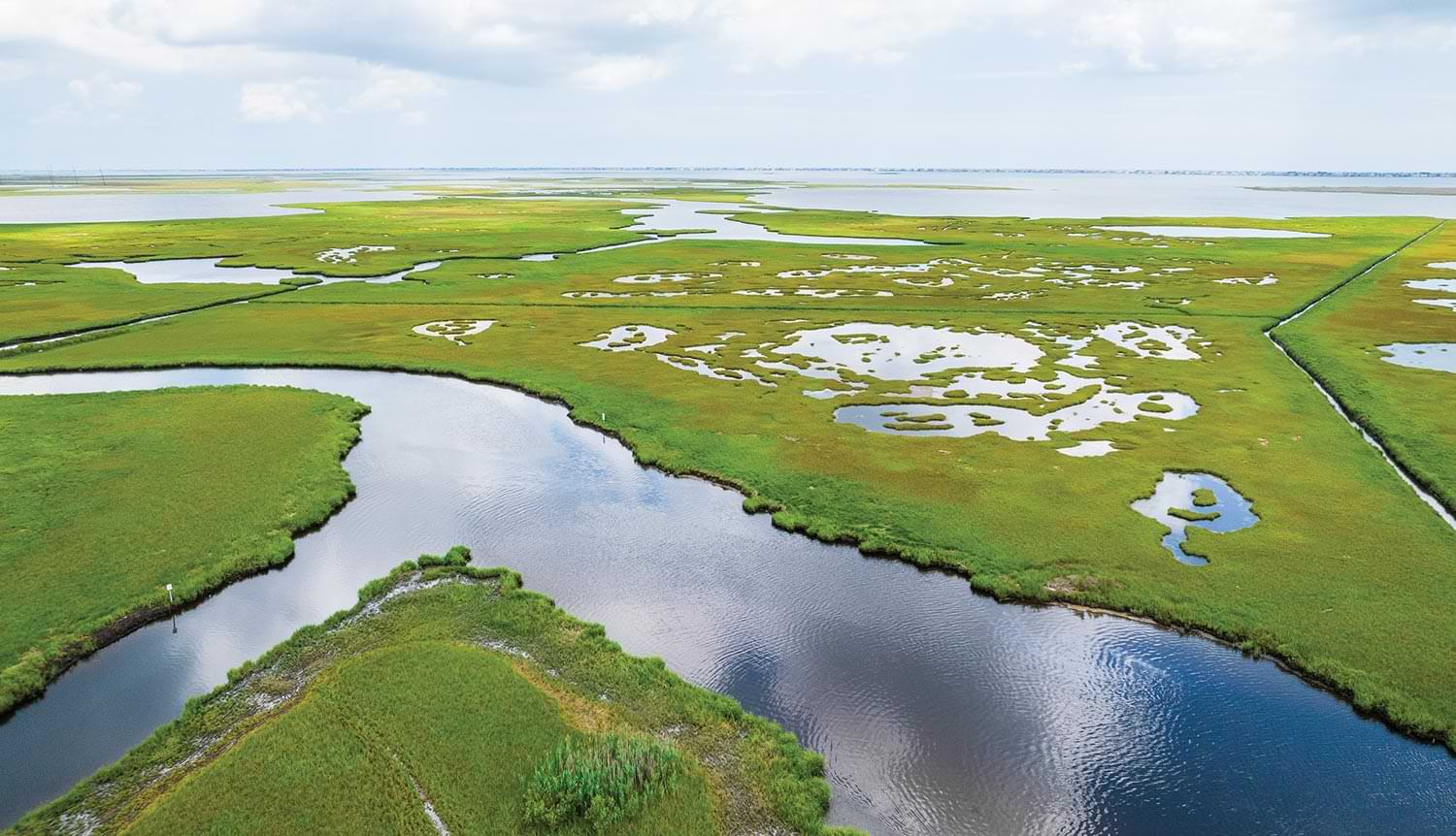 wide birds eye view of vibrant green wetlands