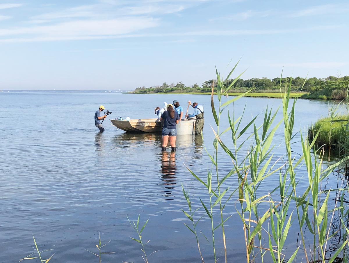 students perform research while standing beside a boat in calm waters beside a lush grassy shore