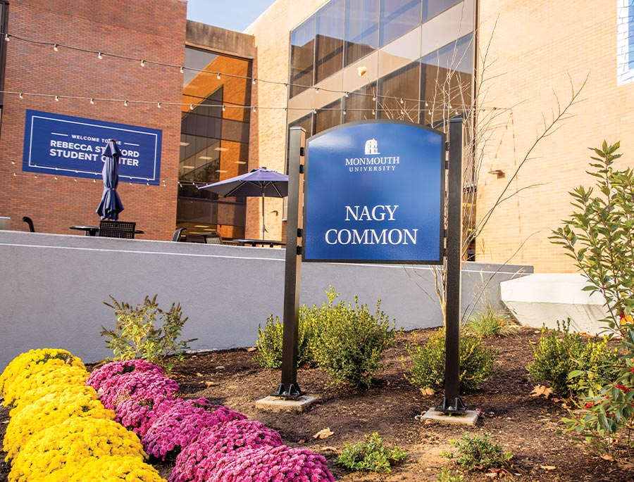 low angle view of the sign post outside Nagy Common